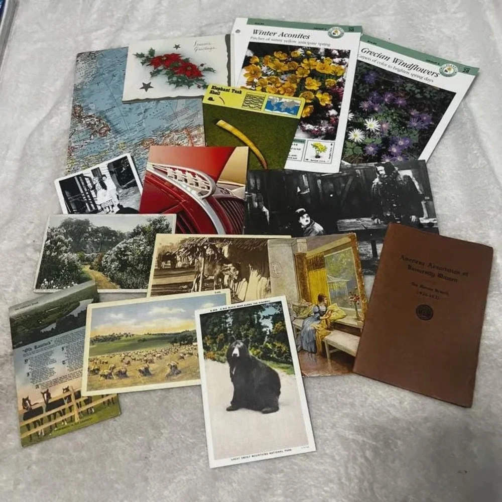 100+ piece Ephemera Lot 21 Collage Crafting Junk Journals Scrapbooking